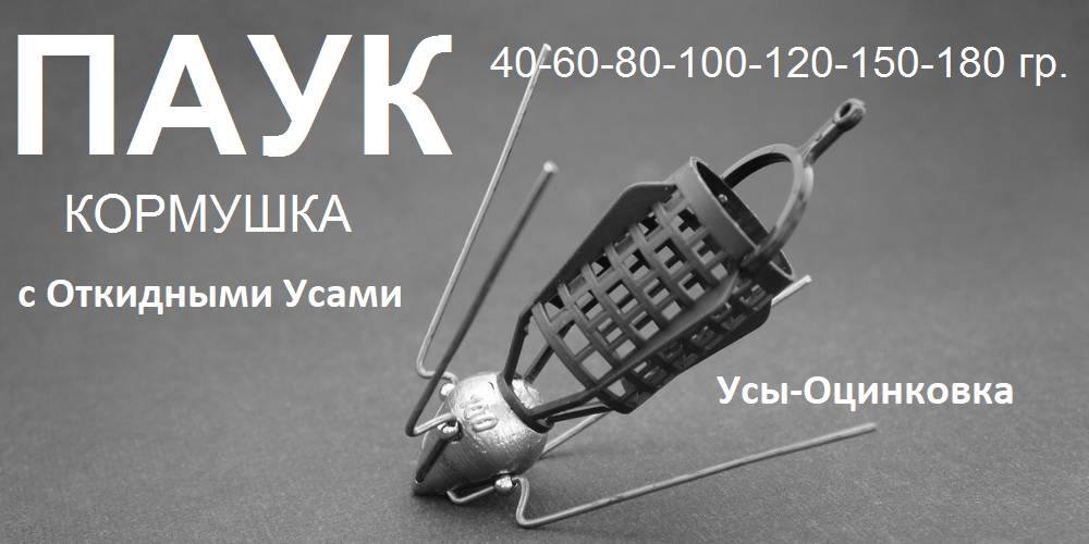 img-KormPauk.png